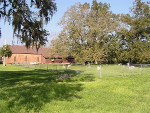Mt. Pilgrim Baptist Church Cemetery | FB-C095